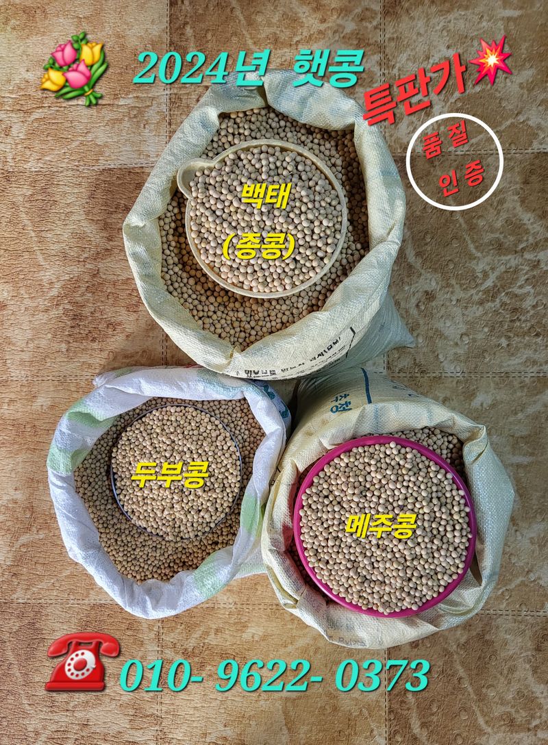 김주용님의 장터 판매 상품 [특가...햇 백태 (종콩) 판매] 첨부 사진