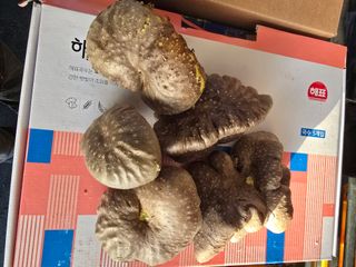 이상남님의 자유주제 · 자유게시판 작성글 사진