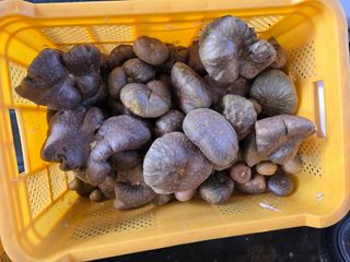 이상남님의 자유주제 · 자유게시판 작성글 사진