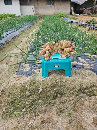 이강천님의 자유주제 · 자유게시판 작성글 사진