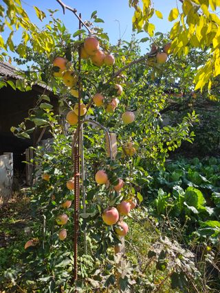 이강천님의 자유주제 · 자유게시판 작성글 사진