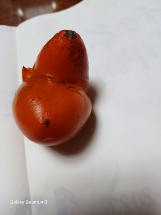 이창우님의 자유주제 · 자유게시판 작성글 사진