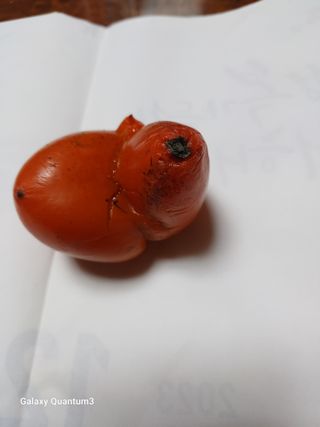 이창우님의 자유주제 · 자유게시판 작성글 사진