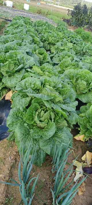 마늘17273님의 자유주제 · 사진전 작성글 사진