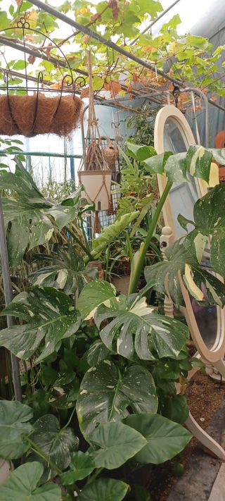 마늘17273님의 자유주제 · 사진전 작성글 사진