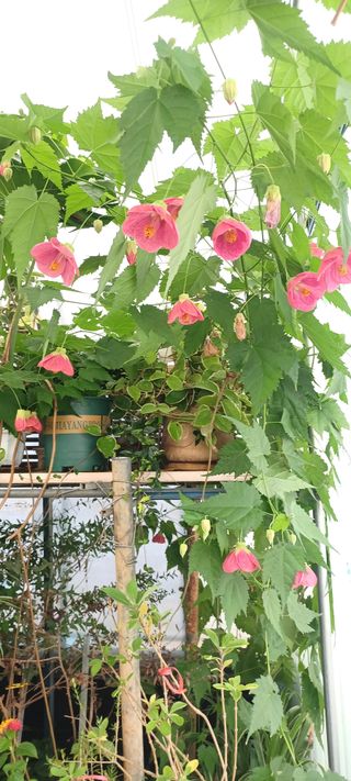 마늘17273님의 자유주제 · 사진전 작성글 사진