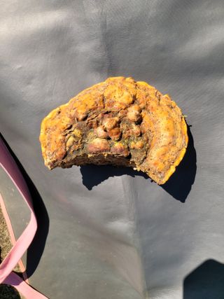 정원용님의 농사, 무엇이든 물어보세요! · 참여글 작성글 사진