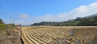 정명희님의 자유주제 · 자유게시판 작성글 사진