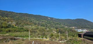 정명희님의 자유주제 · 자유게시판 작성글 사진