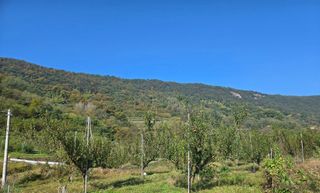 정명희님의 자유주제 · 자유게시판 작성글 사진