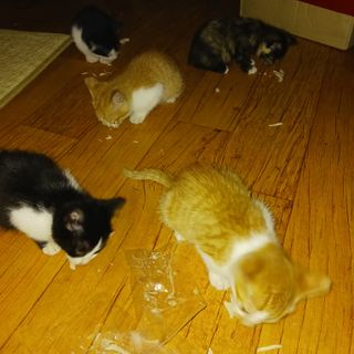 오화순님의 자유주제 · 자유게시판 작성글 사진