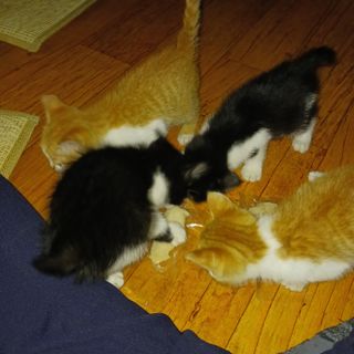 오화순님의 자유주제 · 자유게시판 작성글 사진