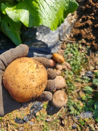 farmer님의 자유주제 · 자유게시판 작성글 사진