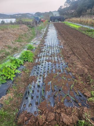 콩8087님의 자유주제 · 자유게시판 작성글 사진