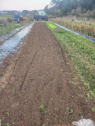 콩8087님의 자유주제 · 자유게시판 작성글 사진