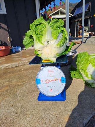 Mmebaik님의 자유주제 · 자유게시판 작성글 사진