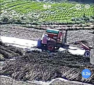 황규복(달구지)님의 자유주제 · 자유게시판 작성글 사진