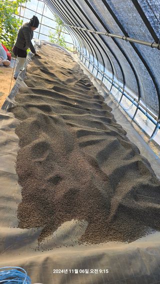 황규복(달구지)님의 자유주제 · 자유게시판 작성글 사진