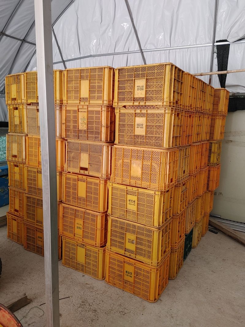 장터 상품 [중고 콘태나박스 약 160개 팔아요] 썸네일