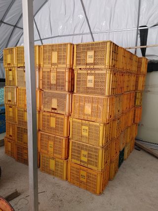 숲속의사나이님의 작성글 사진