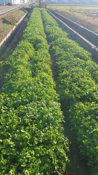 장계령님의 작성글 사진