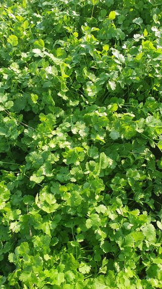 장계령님의 작성글 사진