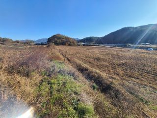 이병현님의 콩 · 자유게시판 작성글 사진