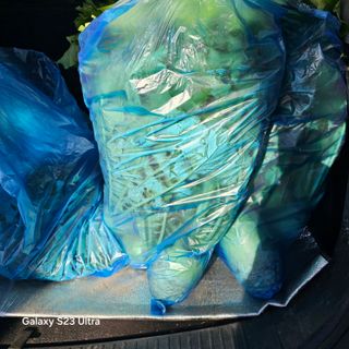 박용열조물주님 님의 파 · 영농일지 작성글 사진