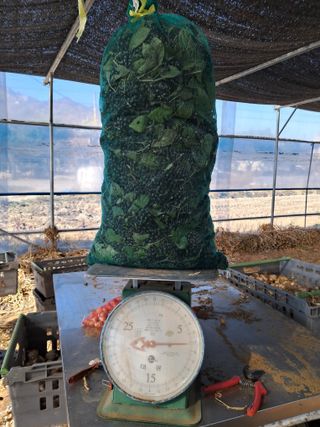 농부의약속님의 자유주제 · 자유게시판 작성글 사진