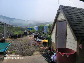 토마토18830님의 자유주제 · 자유게시판 작성글 사진