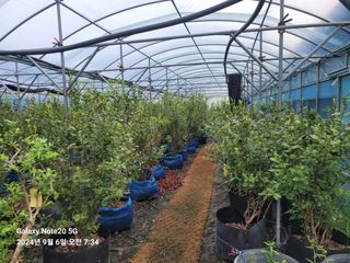 토마토18830님의 자유주제 · 자유게시판 작성글 사진