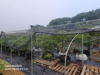 토마토18830님의 자유주제 · 자유게시판 작성글 사진