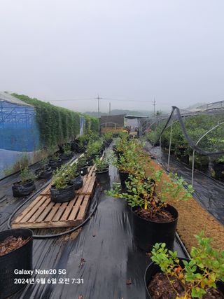 토마토18830님의 자유주제 · 자유게시판 작성글 사진