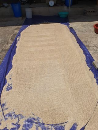 김영복님의 농사경력 최고의 순간을 알려주세요. · 참여글 작성글 사진