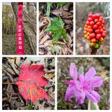 팜모닝 · 게시글 이미지