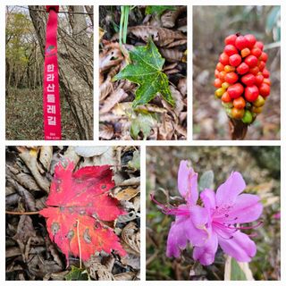김봉국님의 작성글 사진