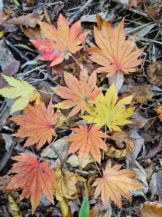 김봉국님의 작성글 사진