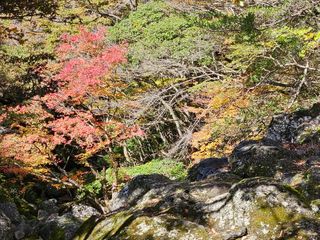 김봉국님의 작성글 사진