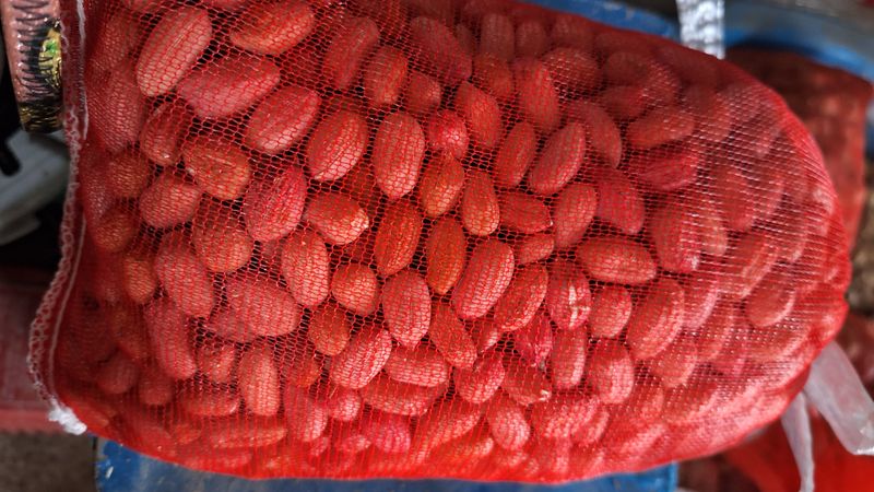 오남현님의 장터 판매 상품 [땅콩] 첨부 사진