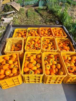 정석범님의 자유주제 · 자유게시판 작성글 사진