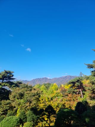 정석범님의 자유주제 · 자유게시판 작성글 사진