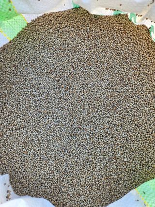 정진협님의 작성글 사진