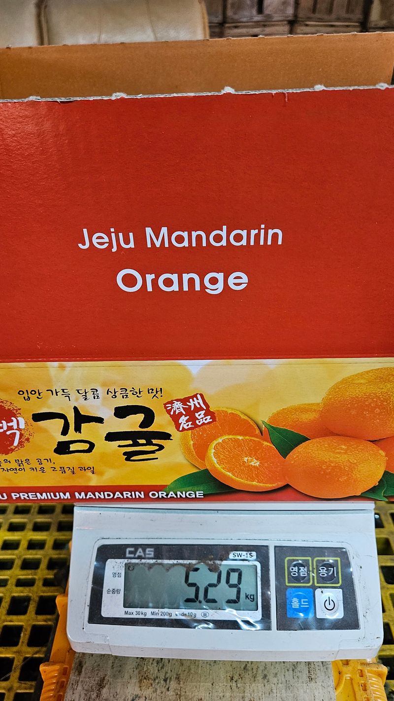 고강농원 강영자님의 장터 판매 상품 [고강농원 타이벡귤 5kg] 첨부 사진