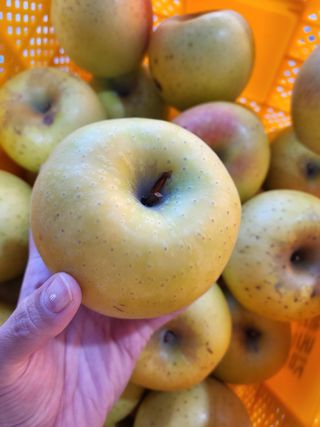 하늘아래사과나무님의 작성글 사진