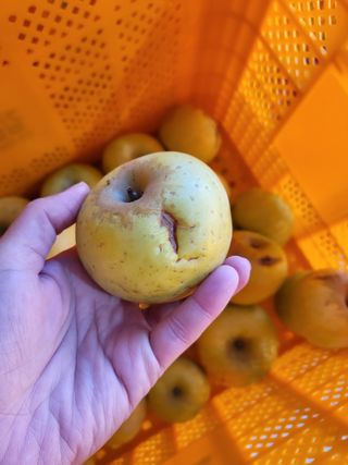 하늘아래사과나무님의 작성글 사진