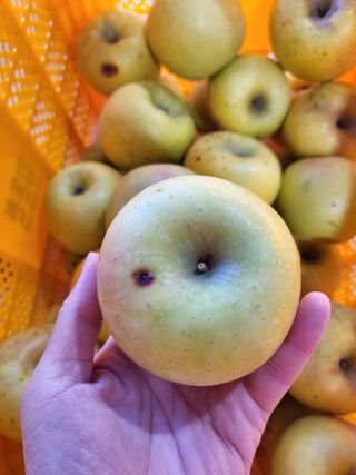 하늘아래사과나무님의 작성글 사진