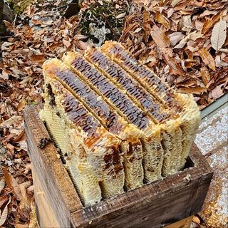 정진협님의 작성글 사진