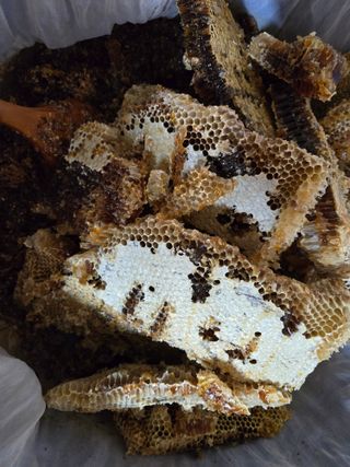 정진협님의 작성글 사진