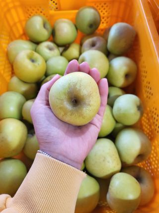 하늘아래사과나무님의 작성글 사진