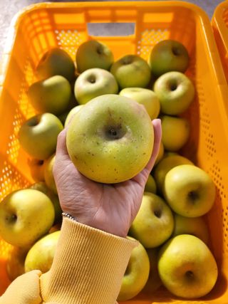 하늘아래사과나무님의 작성글 사진